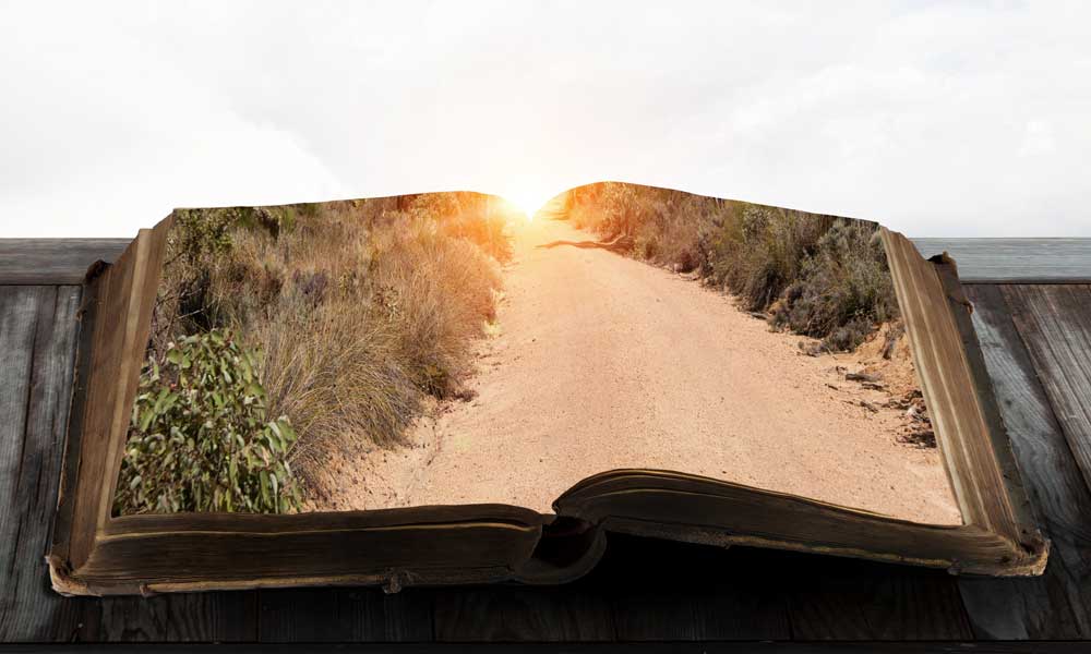 AdobeStock 128942162