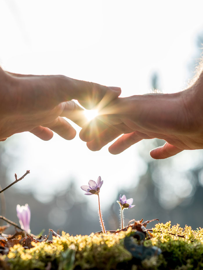 Sesiones de terapia Mindfulness en Madrid, presenciales y online